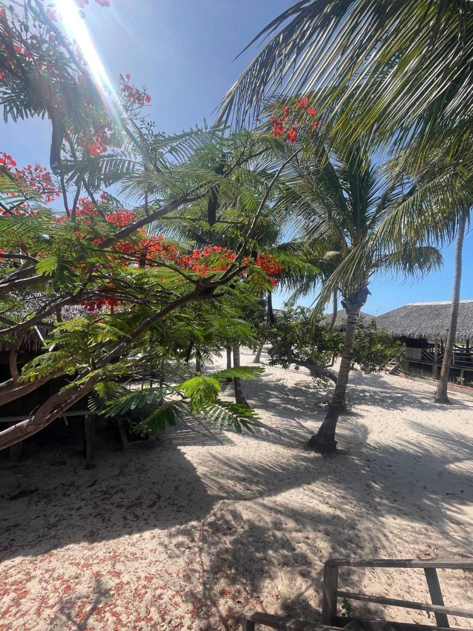 Atins Beach Chales Exterior photo